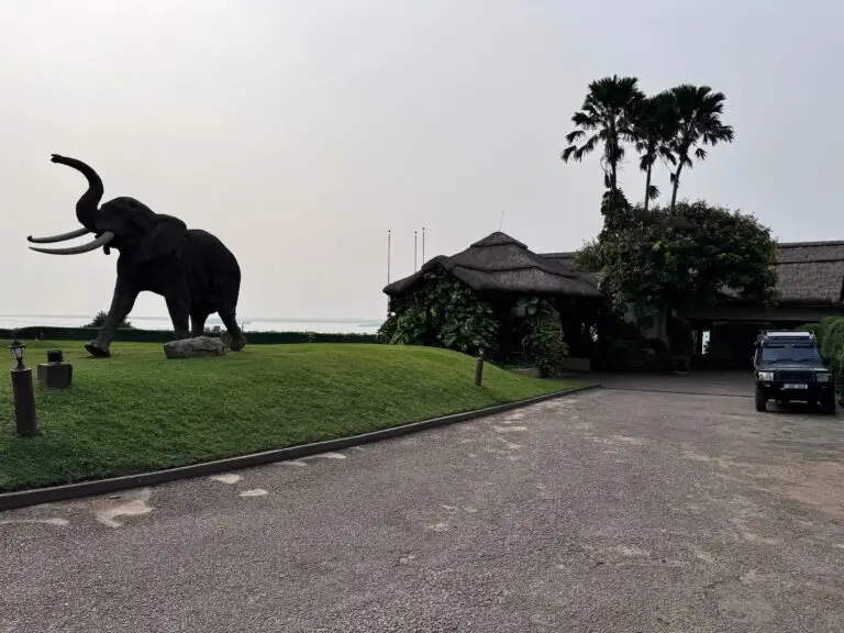 Africa Travel Guide: The Journey You Never Knew You Needed